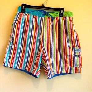 Tommy Hilfiger Multicolored Striped Men’s M Premium Swim Trunks Lined Pockets